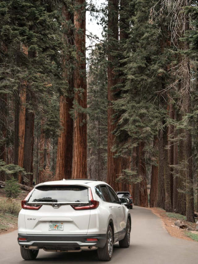 Top 5 Road Trip Cars for 2024
